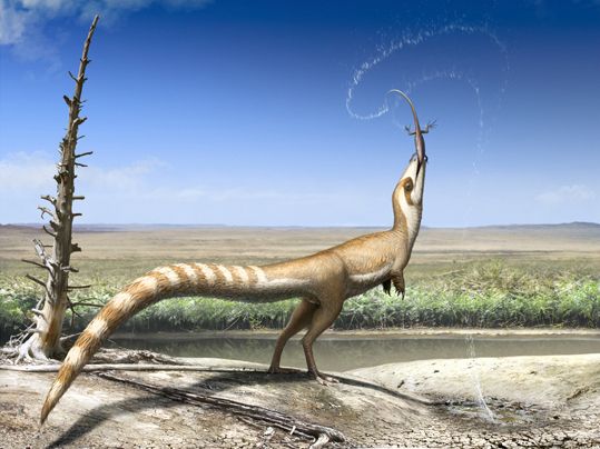 Sinosauropteryx