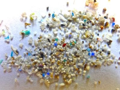 Microplastics are tiny pieces of plastic that have been found all over the world and in the human body.