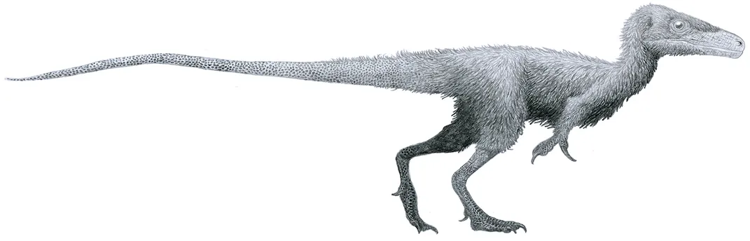 Juravenator