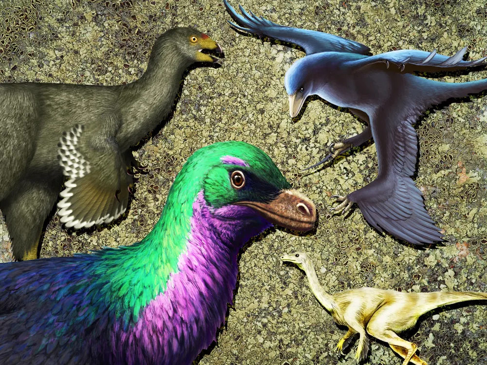 Feathered Dinosaurs